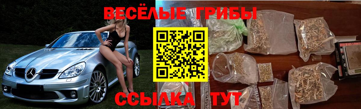 Псилоцибиновые грибы Cubensis Киржач