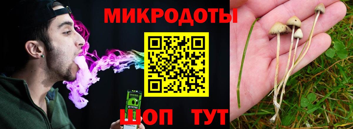 Киржач  Псилоцибиновые грибы GOLDEN TEACHER  Вход с VPN  Псилоцибиновые грибы прущие грибы 